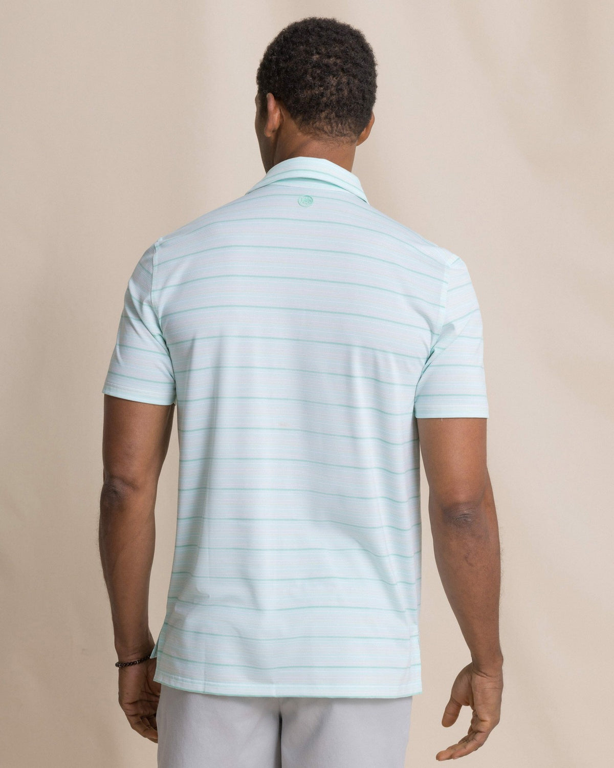 Driver Wild Winds Stripe Polo