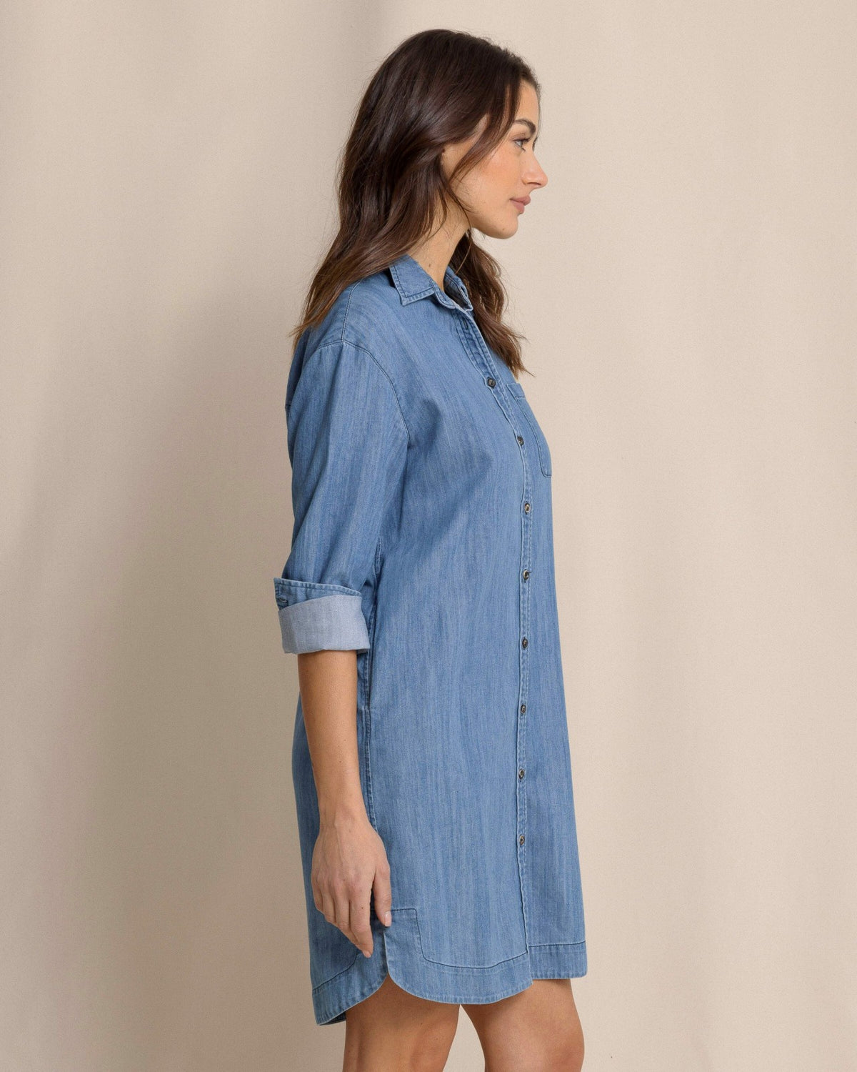 Cam Denim Dress