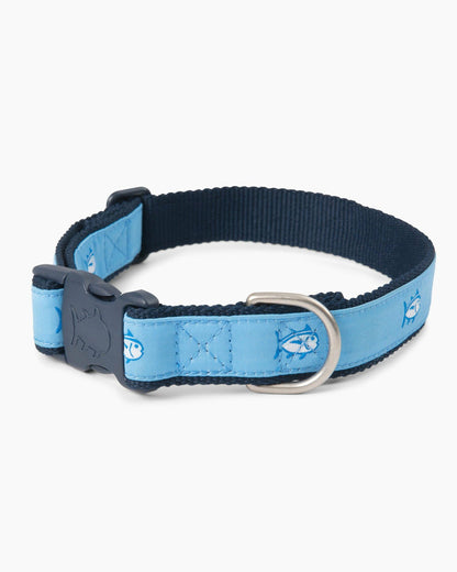 Dog Collars - Skipjack Blue - Nylon